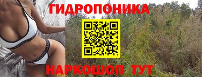 метамфетамин Гатчина