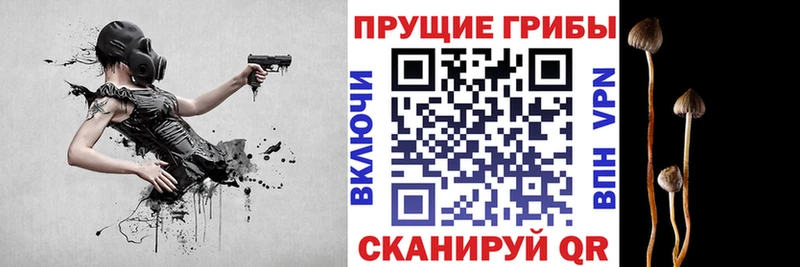 ОМГ ОМГ tor  Малгобек  Галлюциногенные грибы мухоморы 
