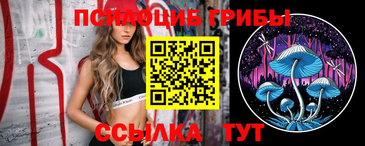 Псилоцибиновые грибы Psilocybe Малгобек