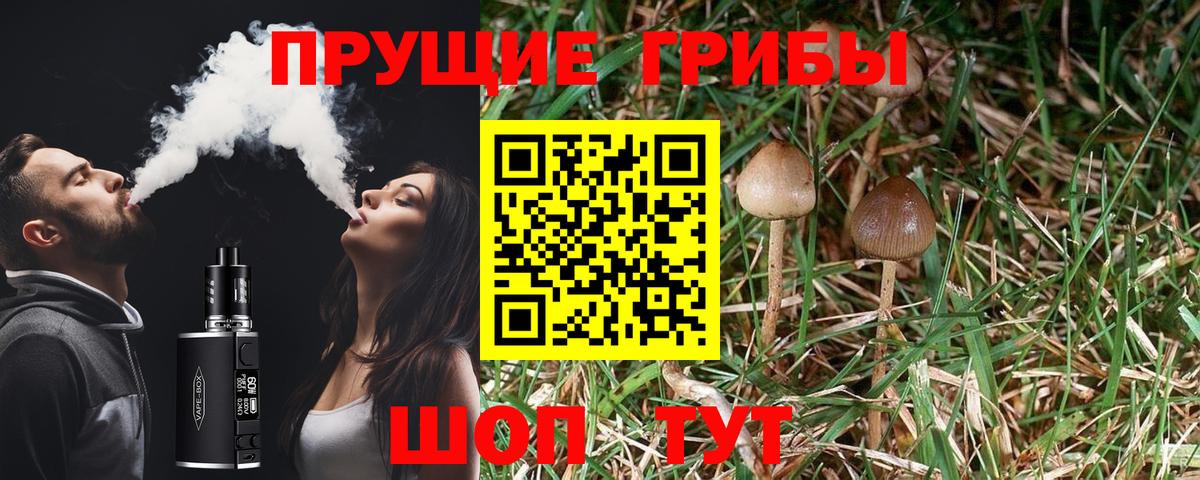 Псилоцибиновые грибы Cubensis  Вход с VPN  Малгобек  Псилоцибиновые грибы Magic Shrooms 